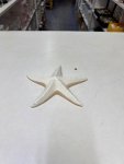 Boltze Shelby Starfish Decorative Figurine