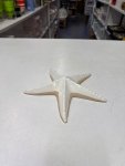 Boltze Shelby Starfish Decorative Figurine thumbnail 2